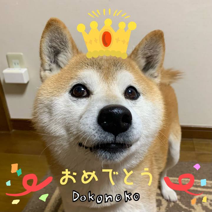 63205fa3 e3bf 463b ad7c 56b3b8ea6fad 1685952741249