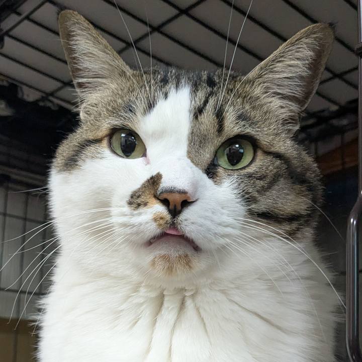 6320891a f76d 4d47 87b0 519880d2f2b1 1773314586431