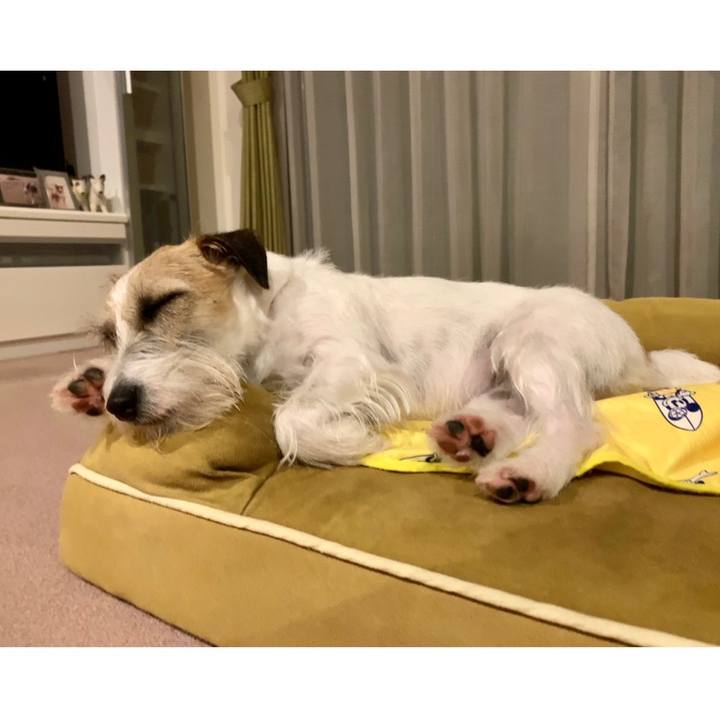 6320a084 fbc9 4aa3 8d83 e78e6fc27004 1651750212262