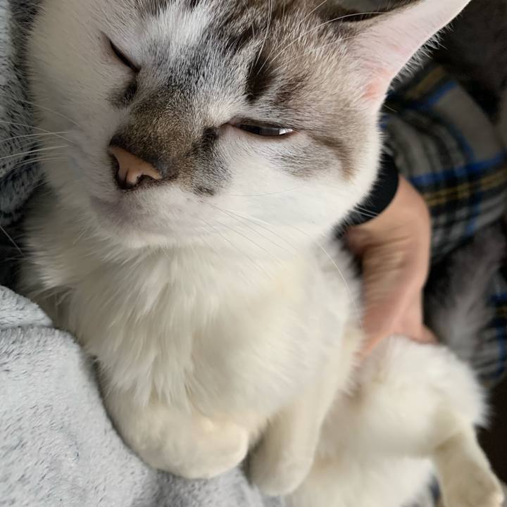 6320b13c 8c87 4548 ab47 ac27018b8483 1612394750293