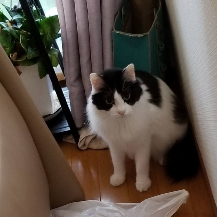 6320bca8 a7d7 4611 b02d f3528299afe7 1544099657473