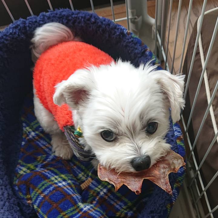 6320e79f 1e9b 45dc 8c22 28ca38856f1a 1574080761815