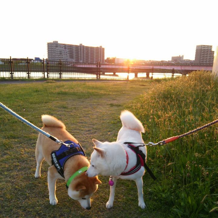 6320e7e6 2713 4dbb 9442 11417f6ced07 1557050828220