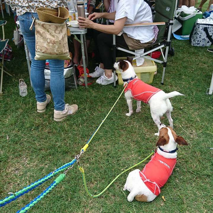 6321119d 06aa 423f 879f a6d446834a8c 1567312459979