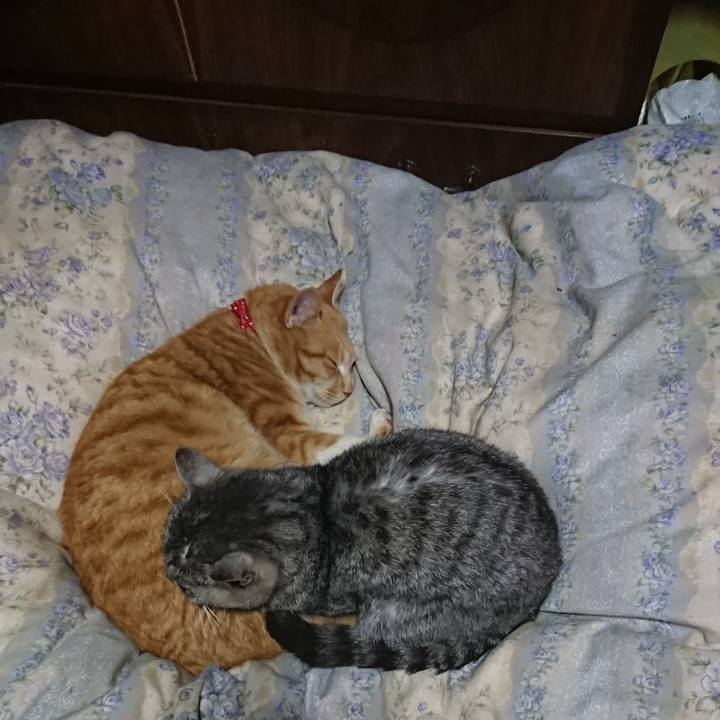 632113ed b77e 43e6 a09b f45a574ee7c6 1579612255406