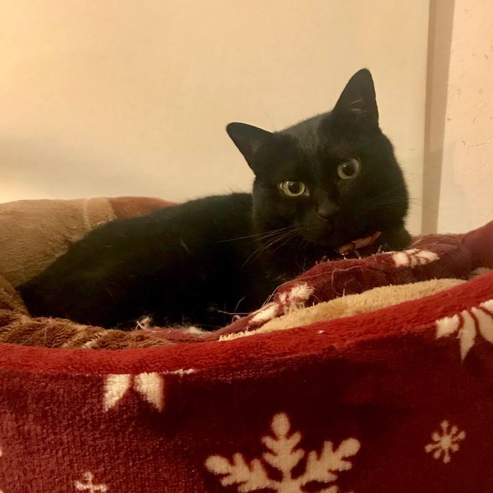 63213b44 9c7d 4634 b18f c0518e02729e 1546438261081