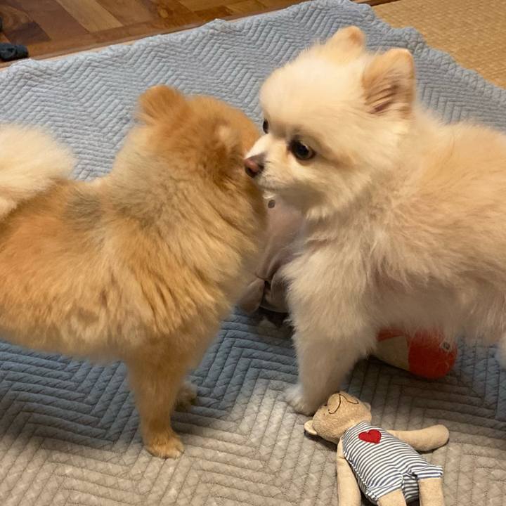 6321674c 59f5 4c49 b1e3 efd7f6f3c6c1 1716867907328