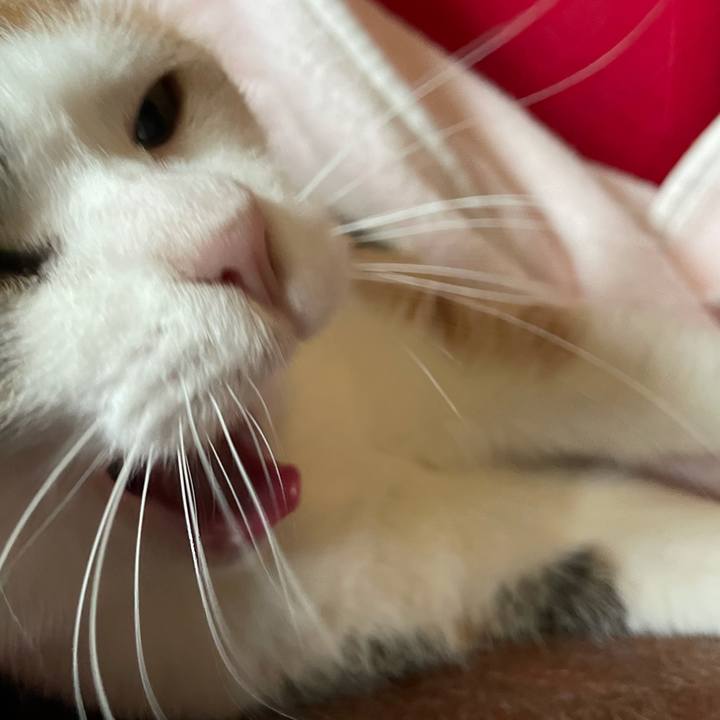 632167d3 6b5c 4403 b3ca fbed0b602466 1638751093418