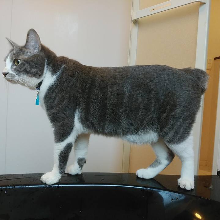 63217c33 013c 4f94 b5e8 3072884ebffa 1611452917380