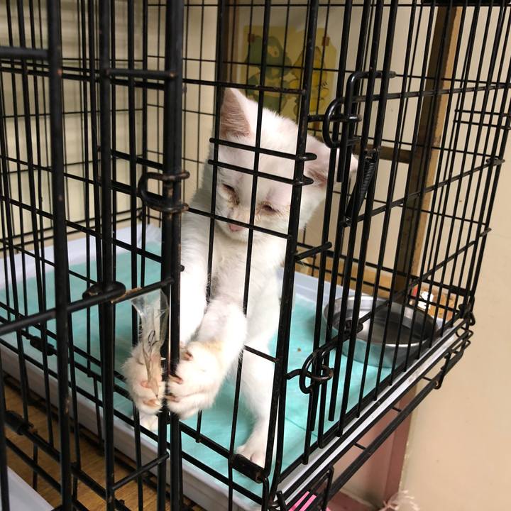 6321ba70 6e9c 48d1 a9bb 125501d3d144 1564463704783