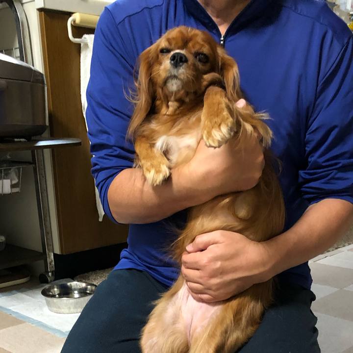 6321c63f 7952 4630 94f6 5f032e3ca2e5 1542578405791