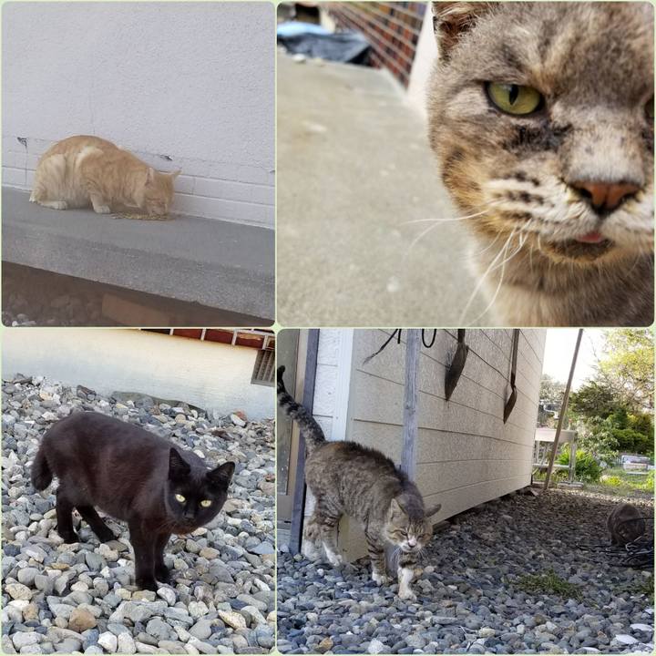 63220ea7 1ef4 45fd a9d9 f8a777192818 1526819893057