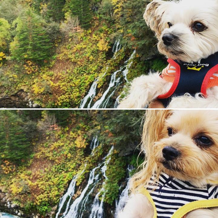 63221d2a c3fa 41c5 a3e3 0a3945c70f20 1570958417093