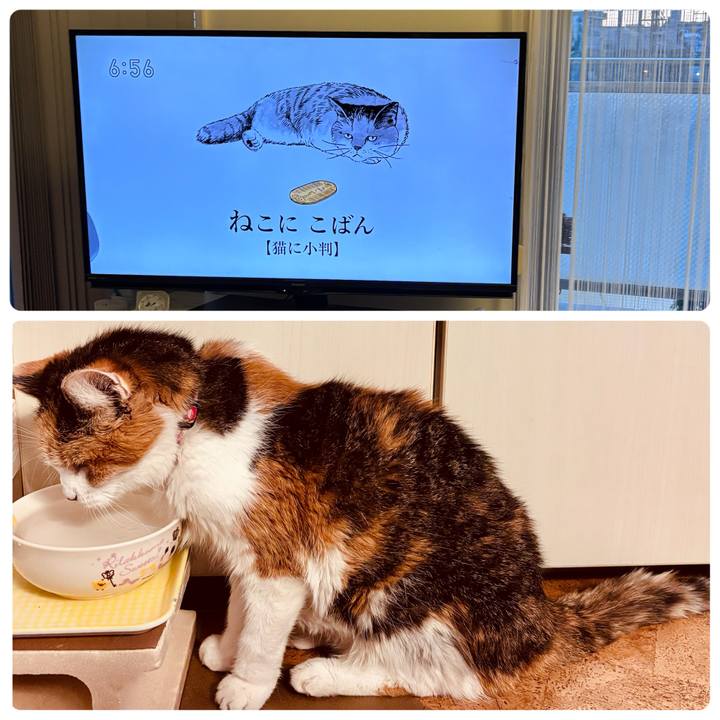 63226893 b68d 4c3e 819c 380d0e8a4303 1734044566820