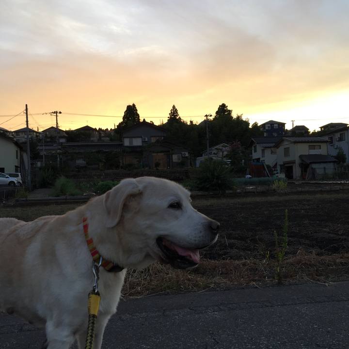 6322b54c f59a 402b ac70 c4b827d2d08f 1534589656118