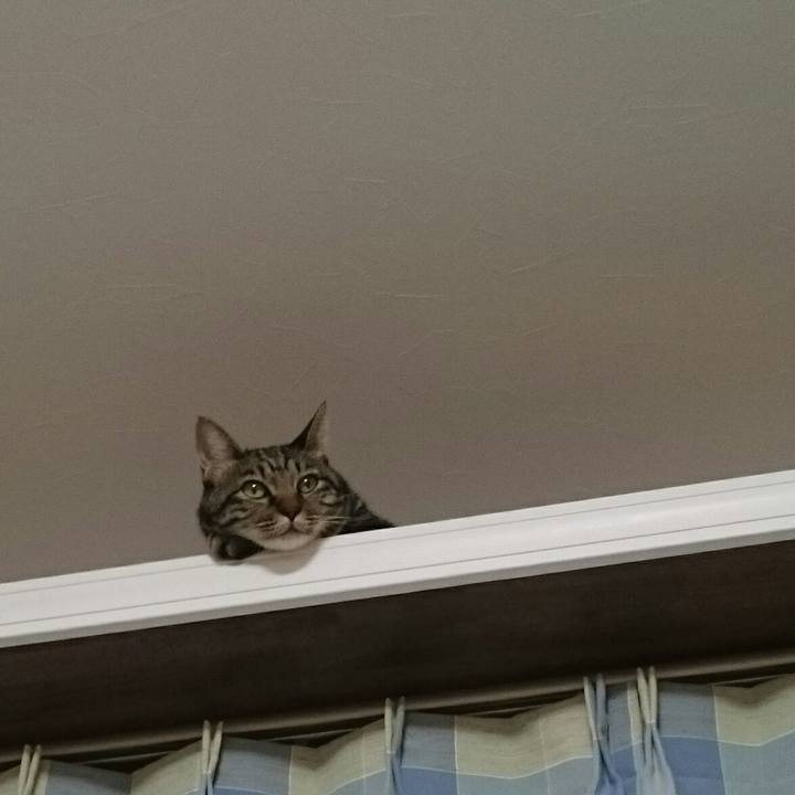 6322b552 7d9f 4c9f a97e 7ad22291beb6 1538577829792