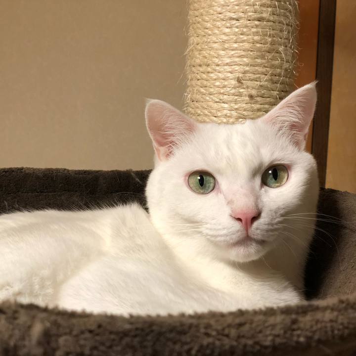 6322ccd3 c792 433d b2dc 2c5ed0a0b6c1 1533526169305