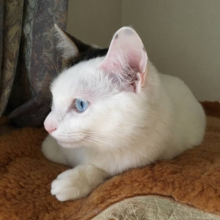 6322d10d c1bc 46e2 a794 6a23e2b202de 1516588191525