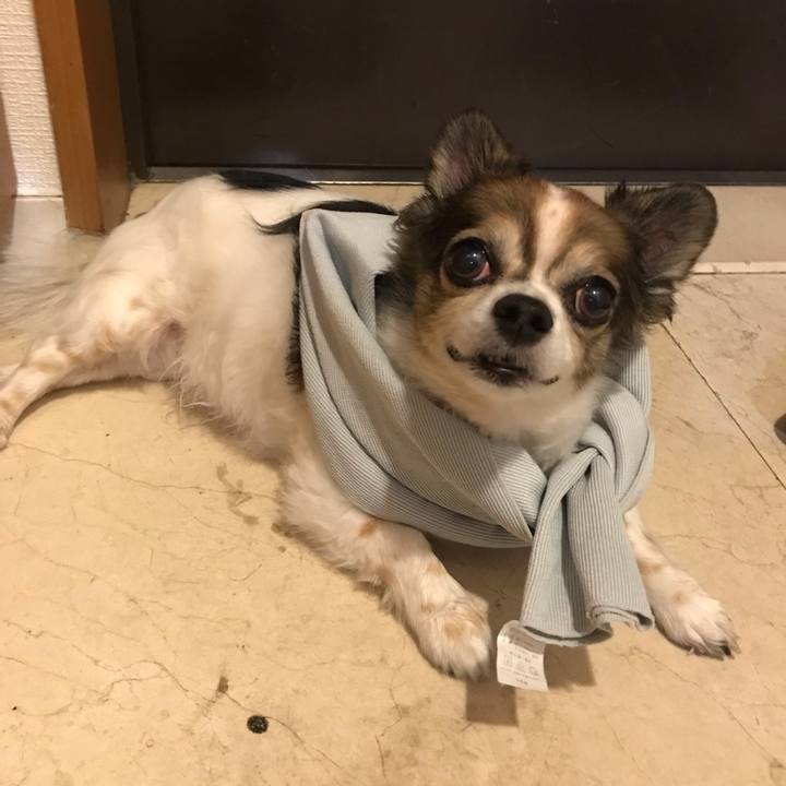 63231342 ee63 4a0d 873e 0d23191a64d6 1658619506959