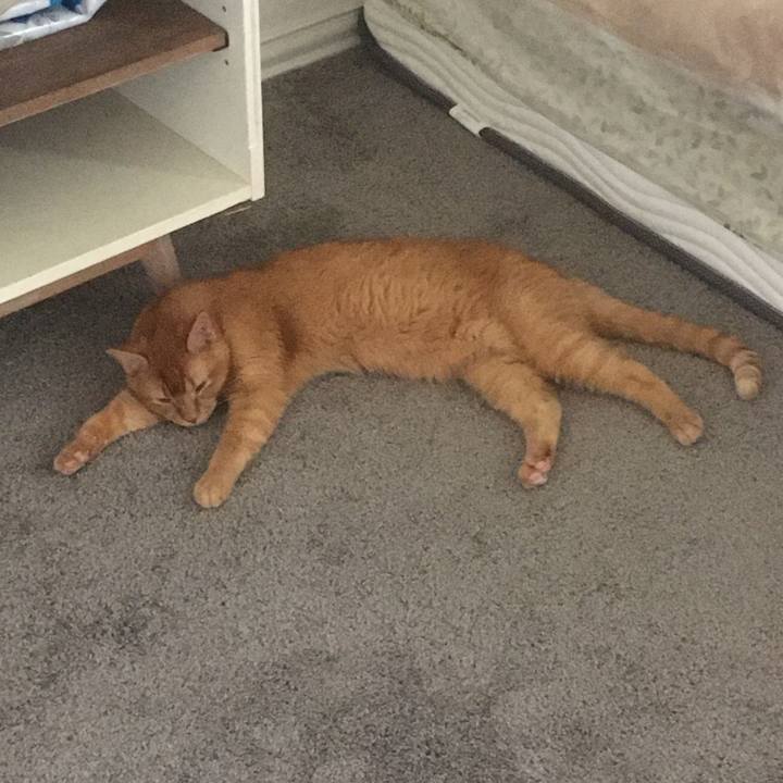 63232f16 c9cf 4db5 acbf c1e015894ff3 1659485091445