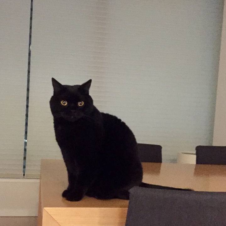 6323537b 4e34 44e8 bb0d a98a73e03e43 1578743646560