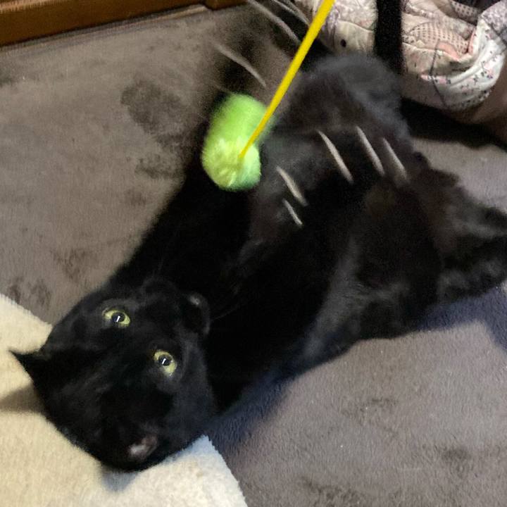 63237f15 ea2f 4bd1 be45 c8f35fd4267e 1702081918021