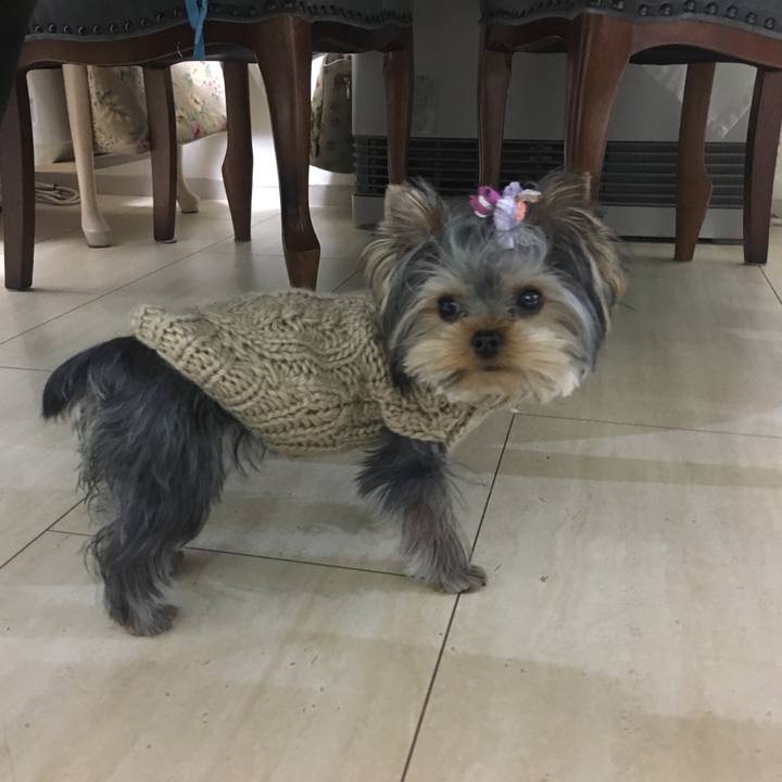 6323886d a572 434c 8b19 319e312f52e1 1546662520762