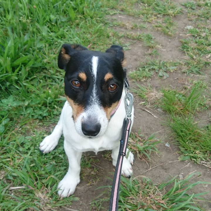 6323bf31 d19a 45cf b9f5 332ee7b8b739 1558925559847