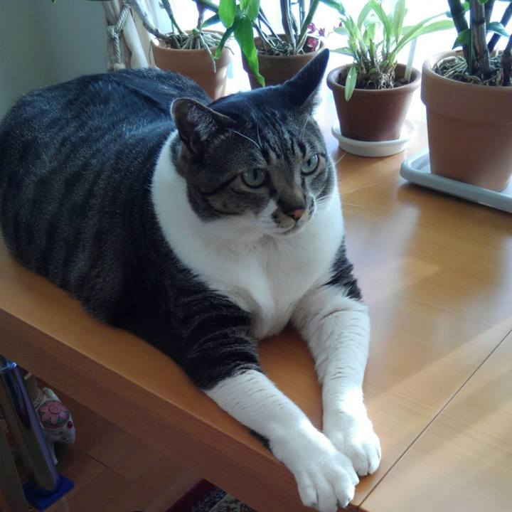 6323cc44 f7a1 427d b077 ffef3892e565 1519867951769