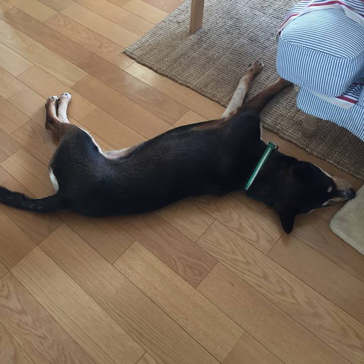 63240ac5 5c91 4c16 9615 b2d77b745f0d 1524701723391