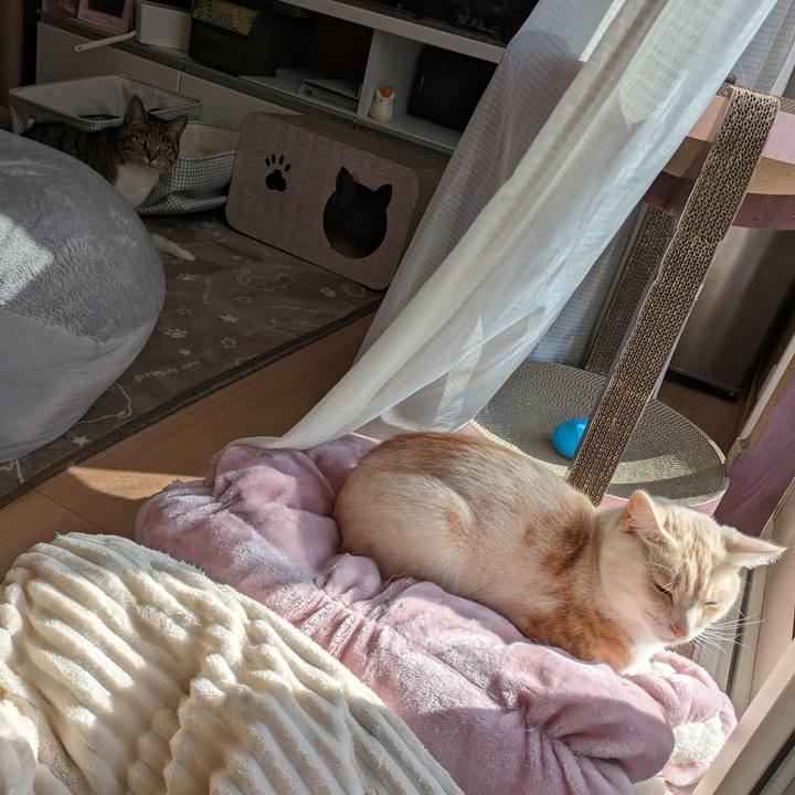 63244c21 7e56 43fb 8610 676a7c55017c 1709424433779