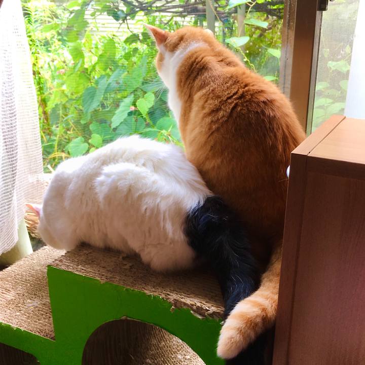 632476d0 d69c 4d36 97b7 3843f94f4caf 1629328512156