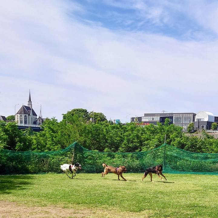 6324b050 2a47 4b70 a4e6 8a54d20d4be2 1717203252677