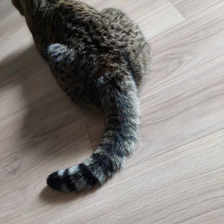 6324d020 6efb 40ae 8f06 05e62fa846dd 1750460990373