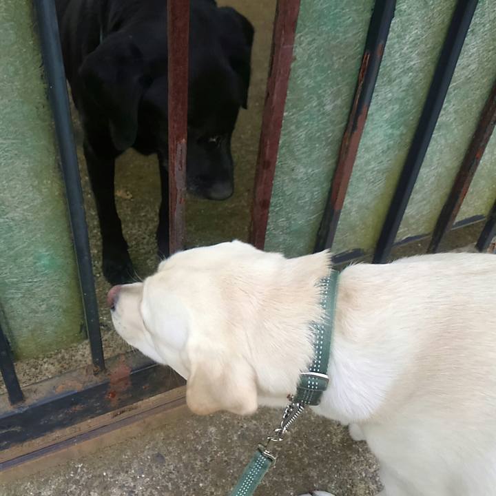 63250208 e823 4221 86ad b287243956de 1510553461556