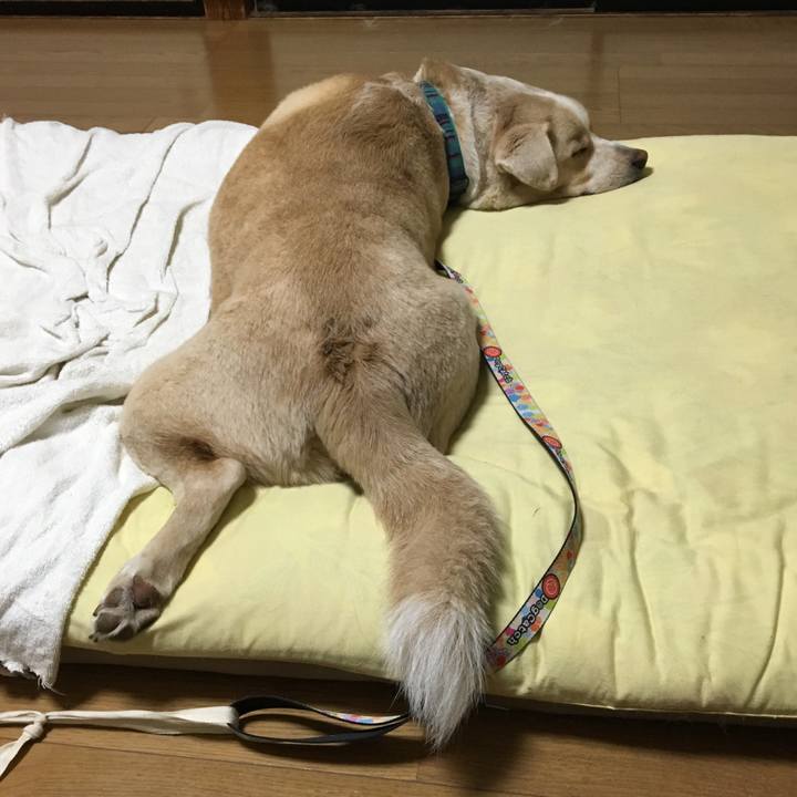 6325252c 6038 4a97 818e 98fc7be25be9 1537108749906