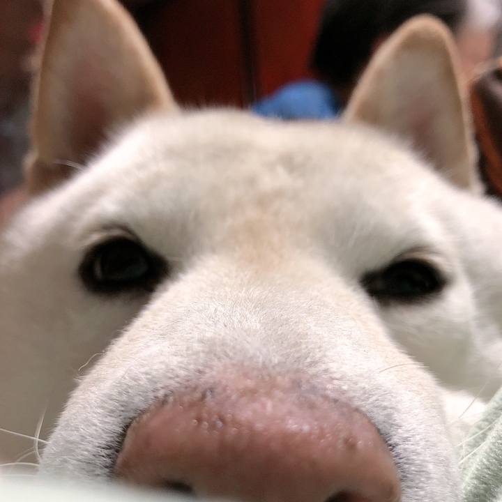 632576d7 b00b 4e04 b658 d79ec25a07cb 1649768790211