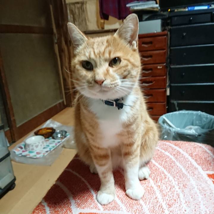 632599ce 21a7 4365 a1c6 c05ac16def17 1605990122069