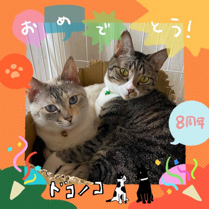 6325a39a 4ec3 4175 878d 215e7e17c947 1717586864251