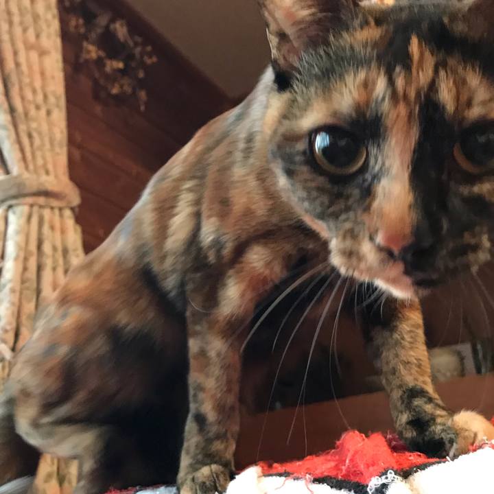 6325a5e1 ef94 49cd 85dc 17901dd2af4c 1641508035801