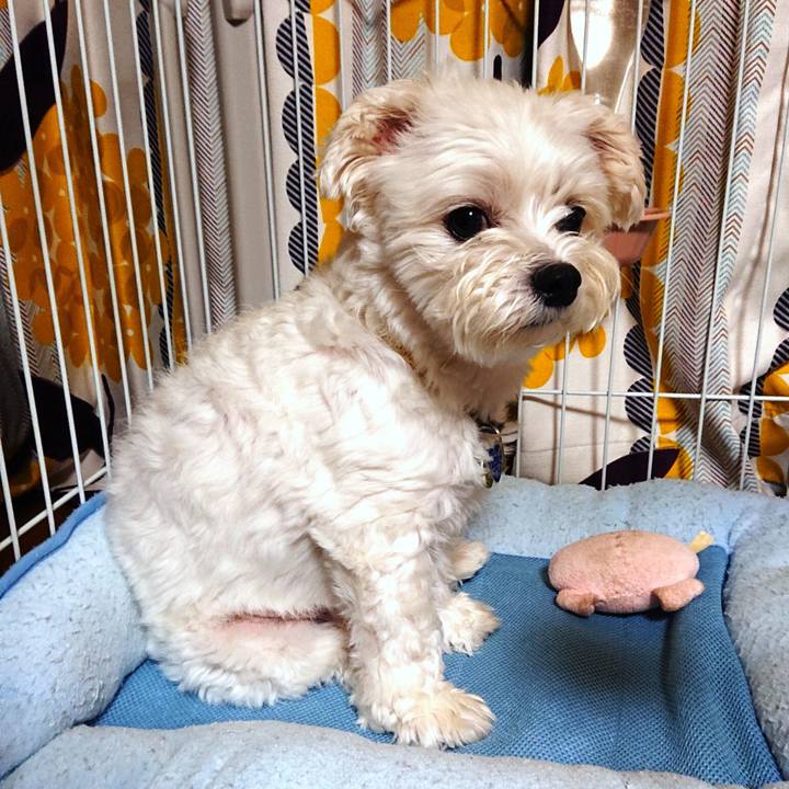 6325bf42 d14c 4860 ab5d 4f7c01dfe1b1 1531829785849