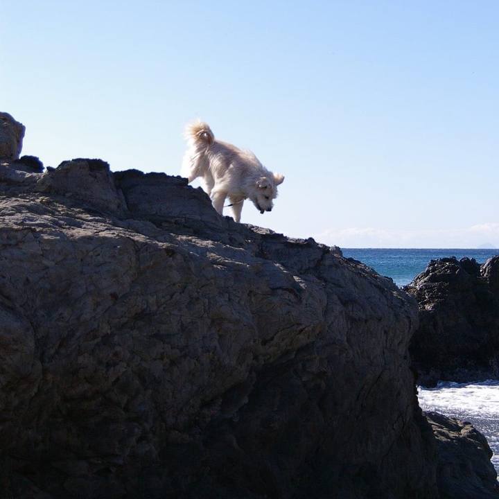 6325cbfe 96aa 4ea7 bd96 8e5c5411272e 1650409549116