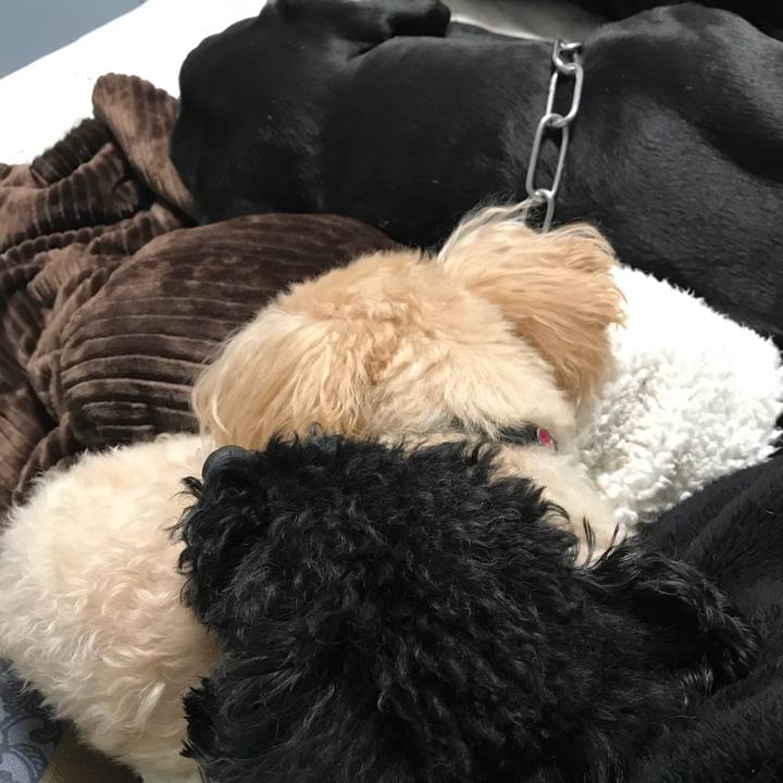 6325d4b1 fc15 4383 856f cca2fe3b6bde 1516453868845