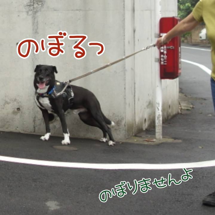 6325e2a1 e0f1 45a7 8164 1d3c0a5bd621 1661904304310