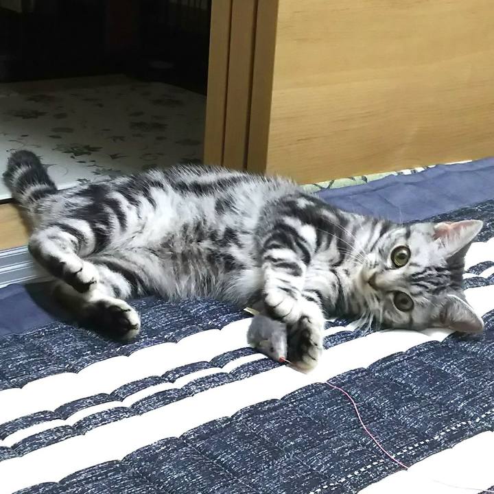 6325f110 86f9 4e95 ad86 50b27d259aa1 1538051862502