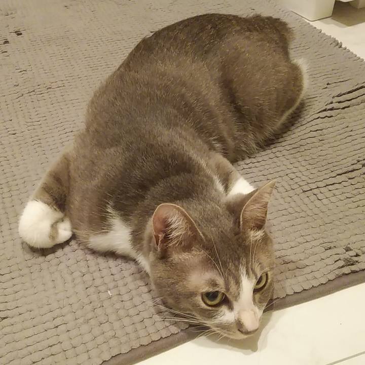 6325f628 7cb3 4704 aeff 1b46d766b3b4 1592057930394