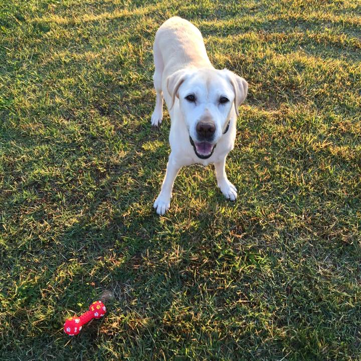 632677a0 3a98 4f33 8ffa 6488f62e5664 1509062033625