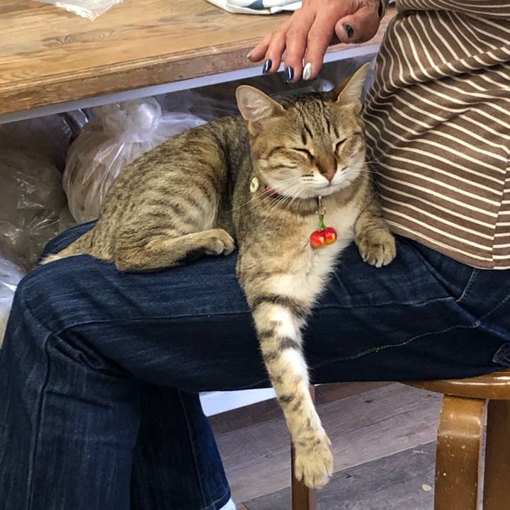 6326880b 7873 4530 8e77 becf969831b5 1612608821342