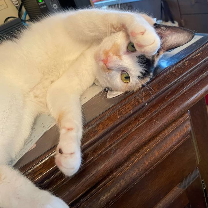 6326d687 e9da 48ba b111 dc1468b05198 1695383822302