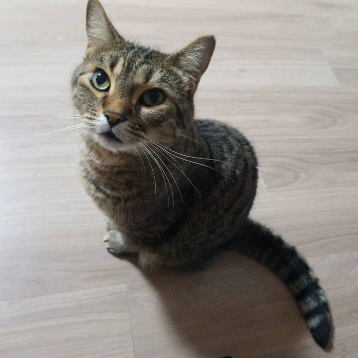 63270f84 e4c6 42ac a581 67b952d8f040 1594585280259